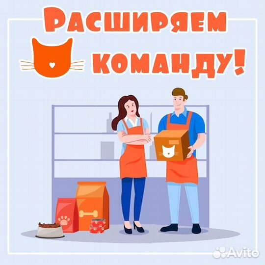 Продавец - консультант в з-н 