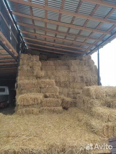 Сено и солома