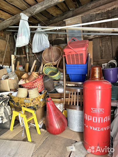 Все за одну цену