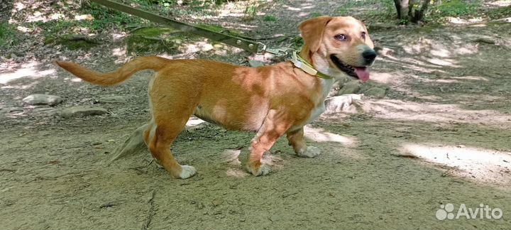 Жизнерадостная девочка