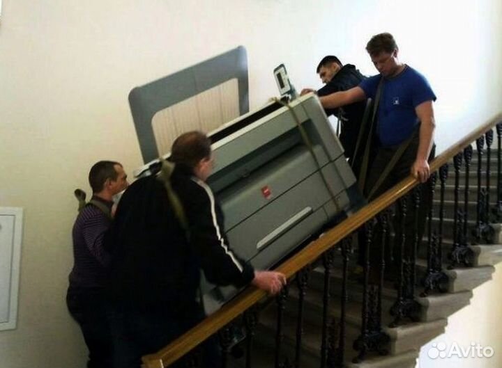 Вывоз мусора. Вывоз строительного мусора