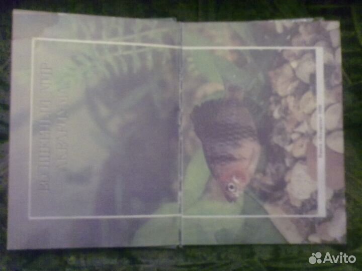 Волшебный мир аквариума