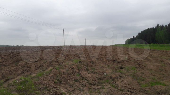 Участок 500 га (СНТ, ДНП)