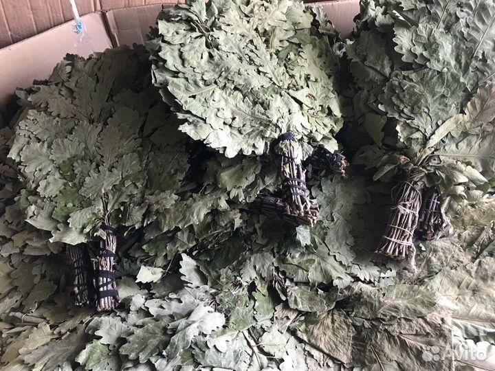 Веники Дубовые, берёзовые, липовые, и др для бани