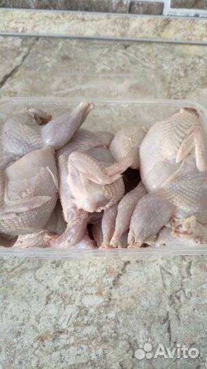 Перепёлки эстонцы