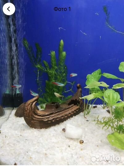 Аквариумный грунт молочно белого цвета