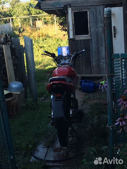 Cobra Crossfire 150cc