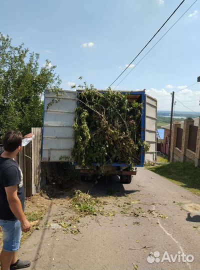 Спил деревьев,расчистка/Уборка участков,Слом домов