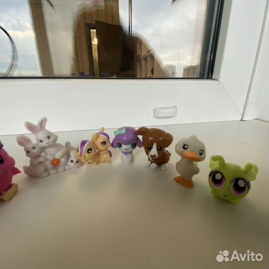 Littlest pet shop