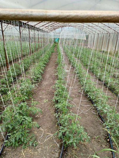 Дом 80 м² на участке 23 сот.