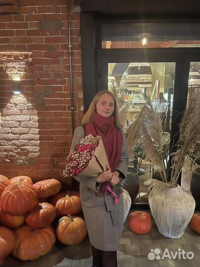 Репетитор по математике и информатике