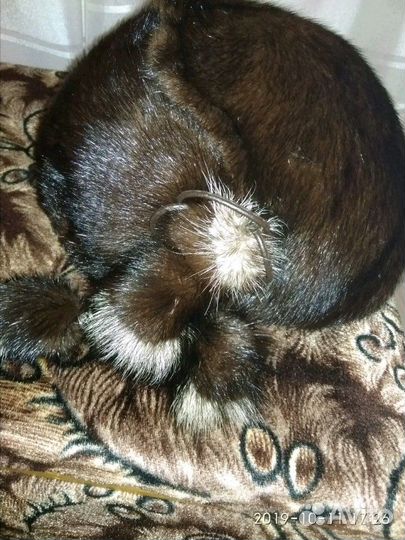 Шапка из меха норки