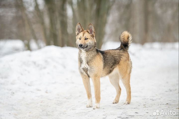 Лёха ищет дом и настоящих родителей