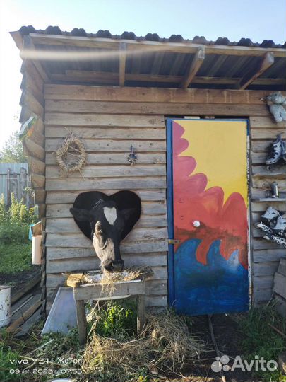 Молоко коровье цельное свежайшее