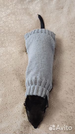 Свитер для собаки