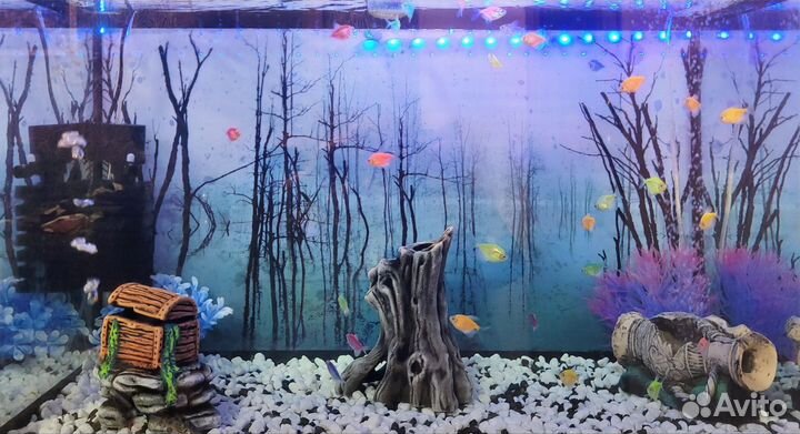 Аквариум