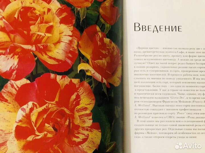 Книга Французские Розы Селекции Мейан