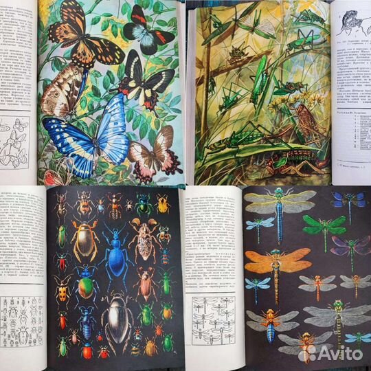 Ботанические книги, грибы, животные, рыбы