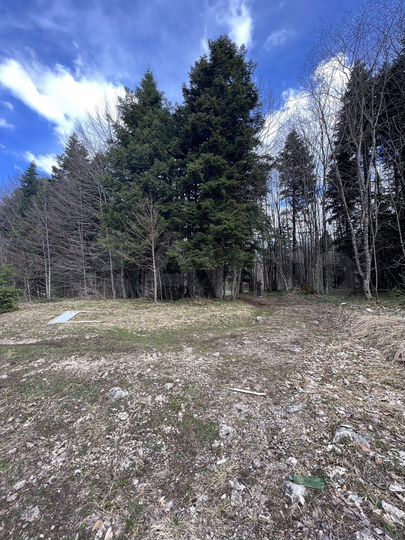 Участок 40 сот. (СНТ, ДНП)