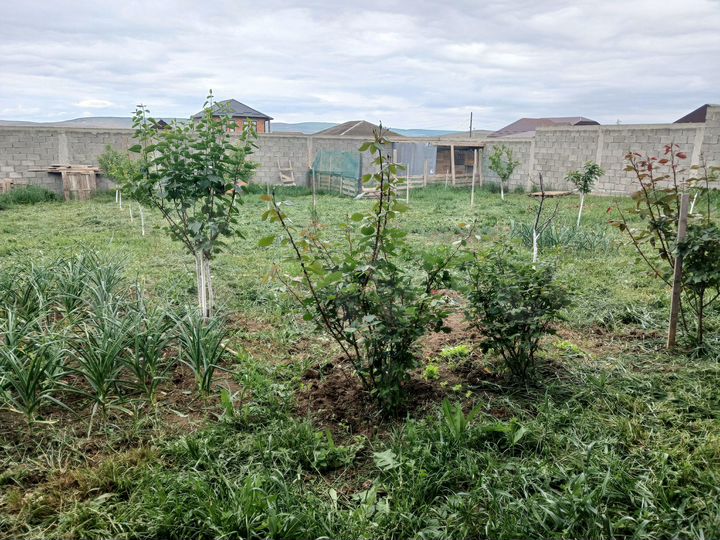 Дом 194 м² на участке 8 сот.