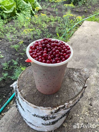 Фермерские продукты