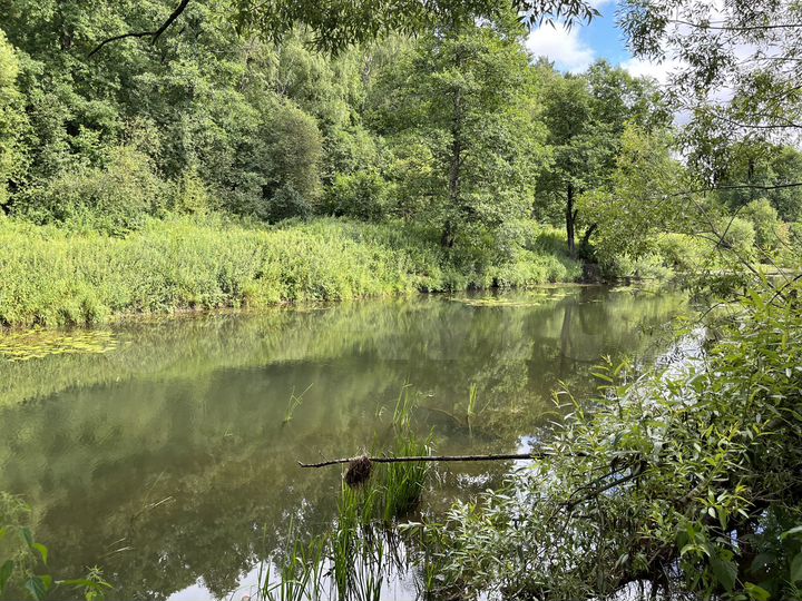 Участок 25 сот. (СНТ, ДНП)