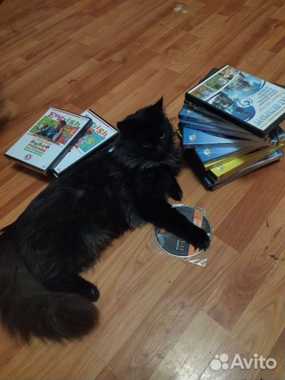 Диски обучающие. Экскурсии по городам мира