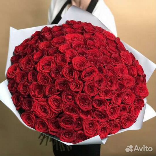 Розы цветы букеты 25 31 51 101 201 301