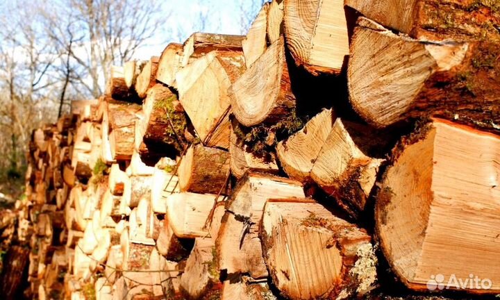 Дрова образцовые