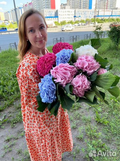 Гортензия срезка