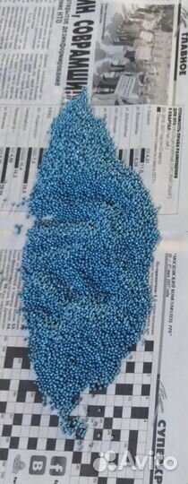 Семена рапса