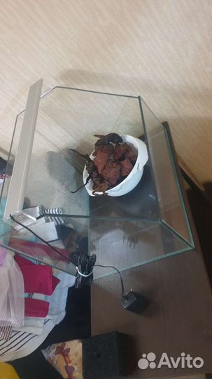 Аквариум-Палюдариум ш50 х г40 х в40