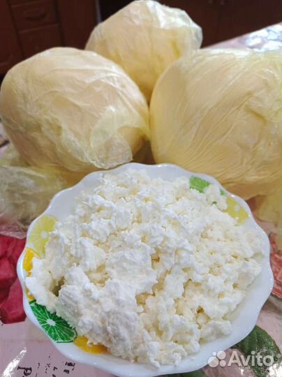 Молочные продукты