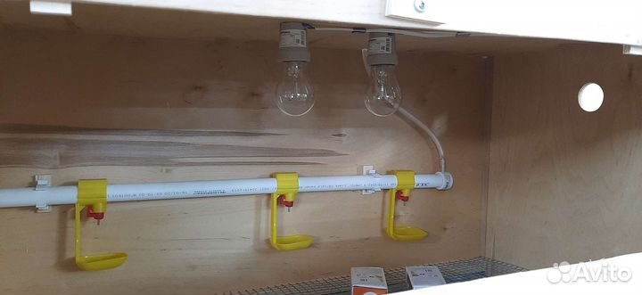 Брудер для цыплят