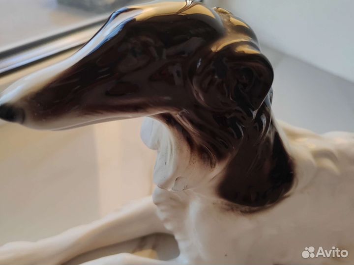 Гончая 1950г Германия