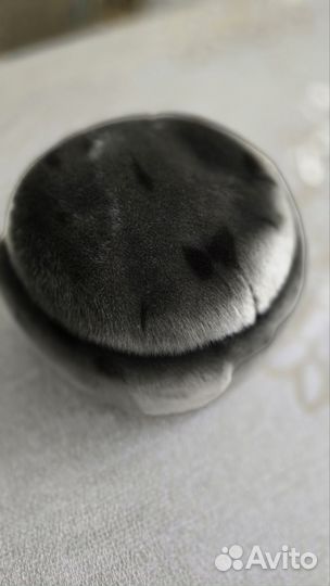 Мужская зимняя шапка из нерпы