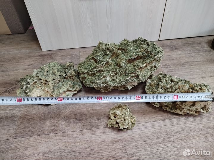 Крымский песчанник