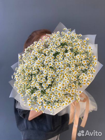 Ромашки. Полевые цветы, доставка букет