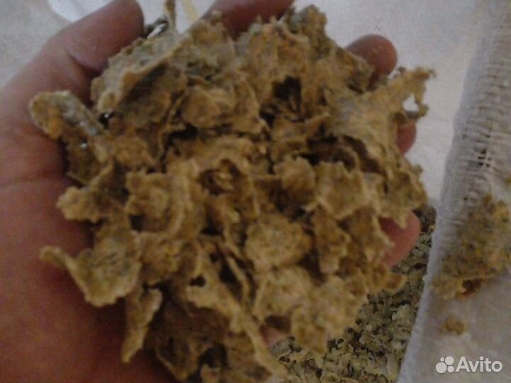 Жмых семян тыквы