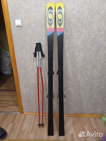 Горные лыжи