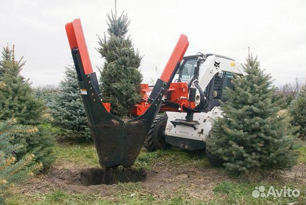 Оборудование для пересадки деревьев