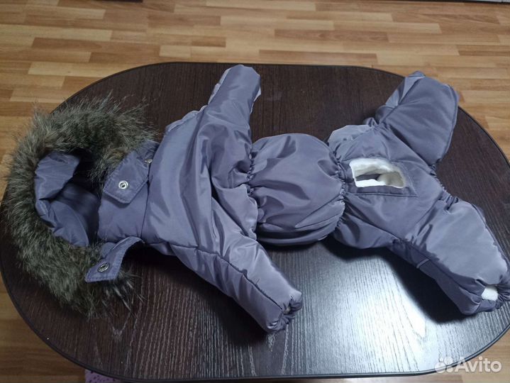 Одежда для собак мелких пород