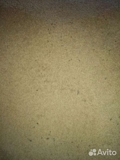 Пшеница,ячмень,обьемов нет