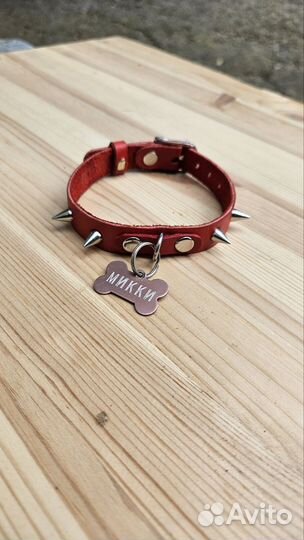 Ошейник для кота