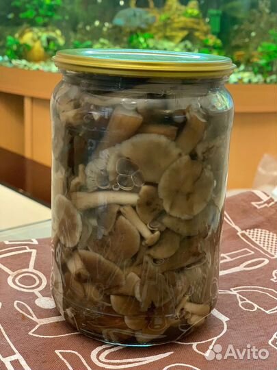 Грибы опята маринованные, мелкие, очень вкусные