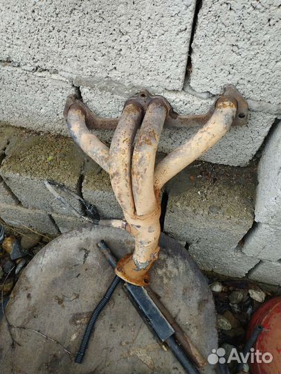 Паук Стингер