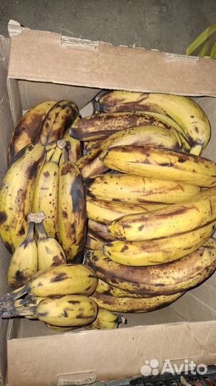 Обмен корма для животных