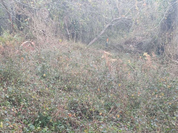 Участок 5 сот. (СНТ, ДНП)