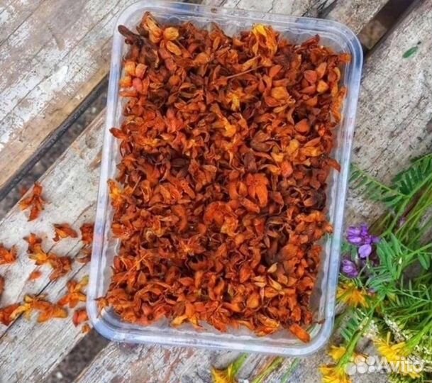 Чашелистики морошки