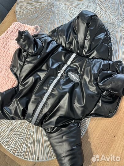 Одежда для собак